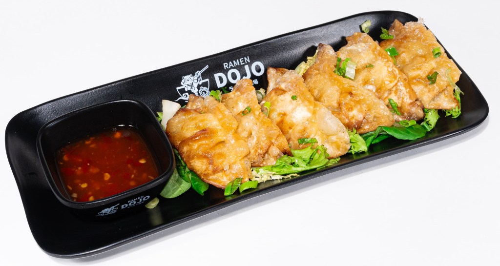 GYOZAS DE CARNE DE RES / BEEF GYOZAS